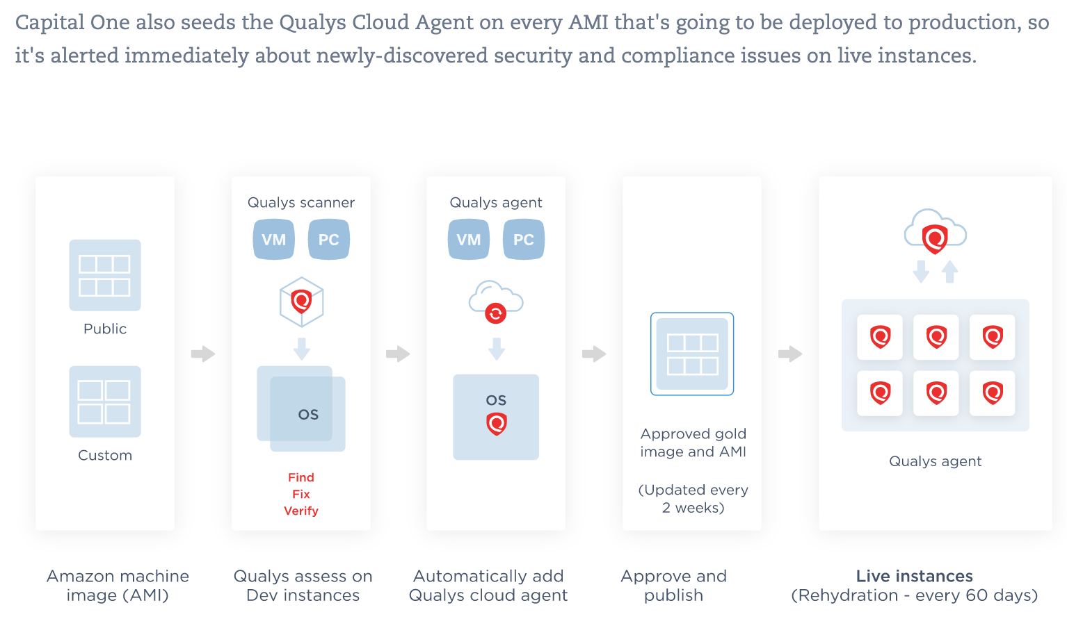 Qualys Graphics